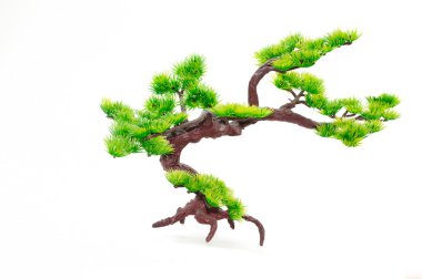 Bonsai tree clipart