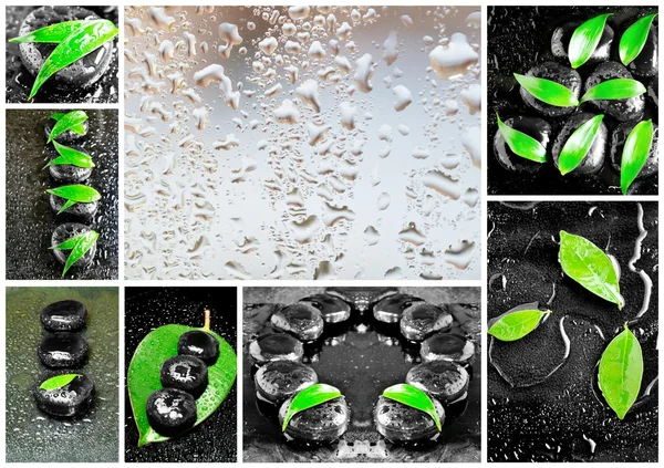 Zen stones and leaves with water drops — Stock Photo, Image