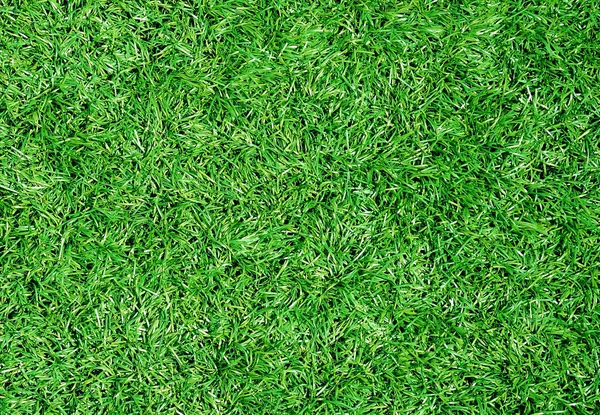 Bella trama erba verde dallo stadio — Foto Stock