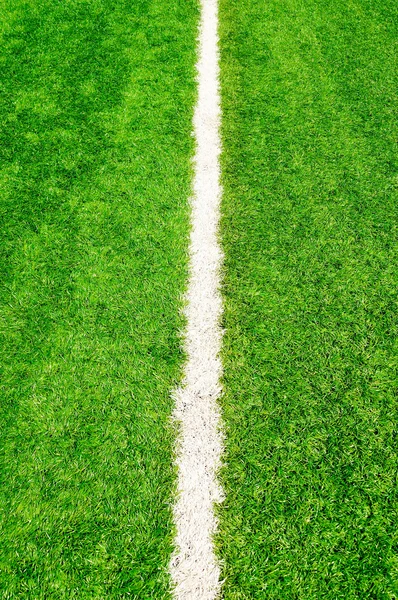 Prachtige groene gras textuur van het stadion — Stockfoto