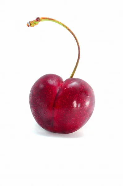 Sweet cherry on white background — Stock Photo, Image