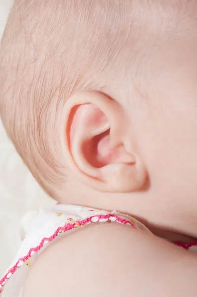 宝宝的耳朵 — 图库照片