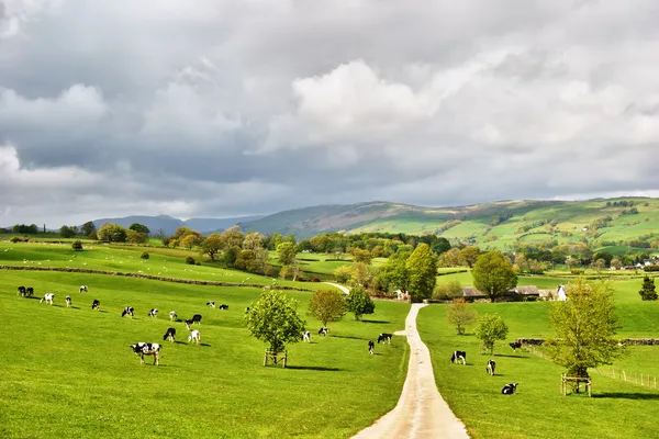 Pintoresca granja lechera inglesa — Foto de Stock