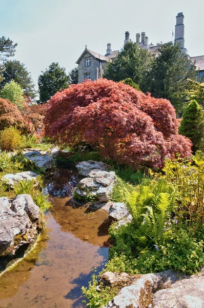 Sizergh slott och en del av trädgården — Stockfoto