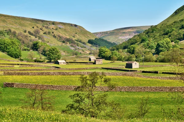Old barns and dry stone walls — Stock Photo, Image
