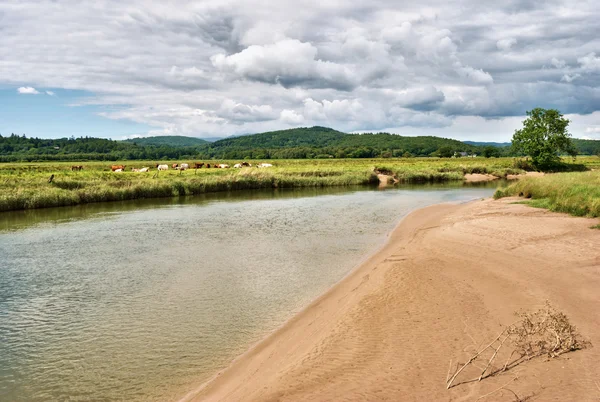 stock image Tidal riverbank on the River Leven