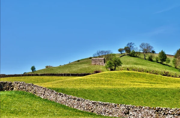 İngilizce yemyeşil çayırlar pastoral sahne — Stok fotoğraf