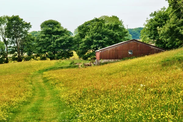 Velho celeiro em um prado de feno Yorkshire Dales — Fotografia de Stock