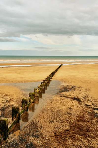 Sandy beach and groyne — Stock Photo, Image