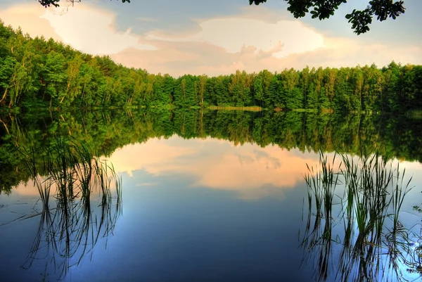 Озеро, лес и небо — стоковое фото