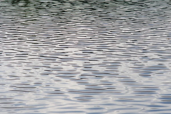 stock image Wave in lake