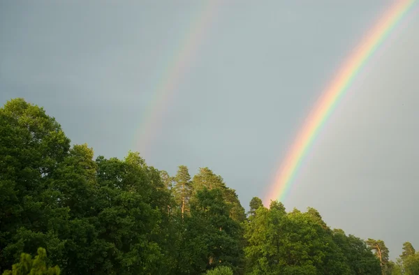 Regenbogen — Stockfoto