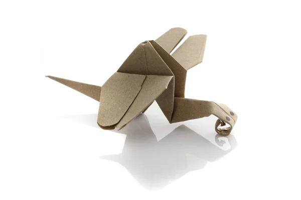 Origami dragonfly door recycle papercraft — Stockfoto