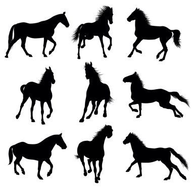 Vector horses clipart