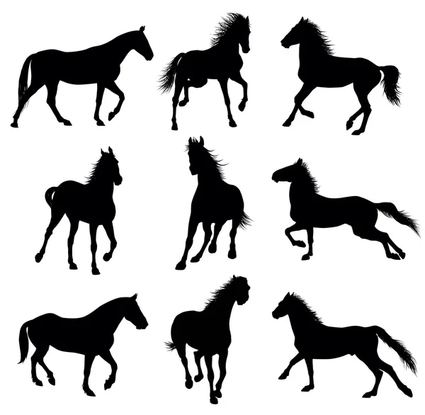 Cavalos vectores — Vetor de Stock
