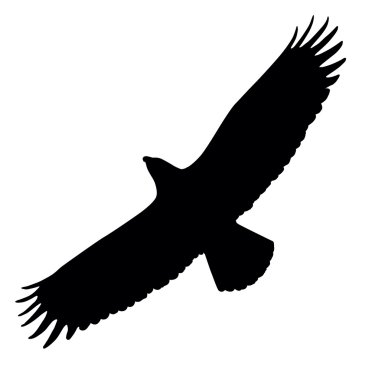 Eagle silhouette clipart