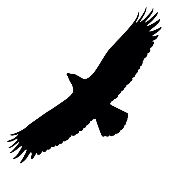 Eagle silhouette — Stock Vector