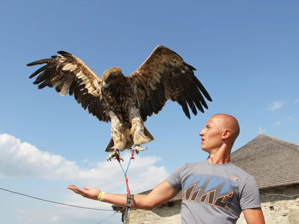 Stock image Man with eagle