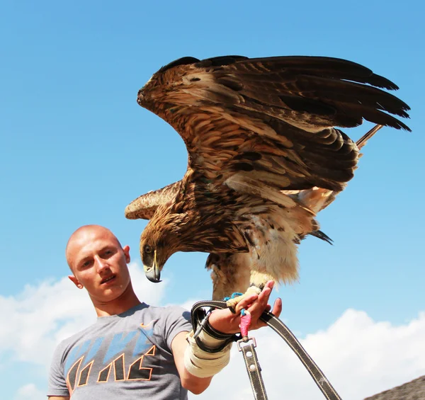 stock image Man with eagle