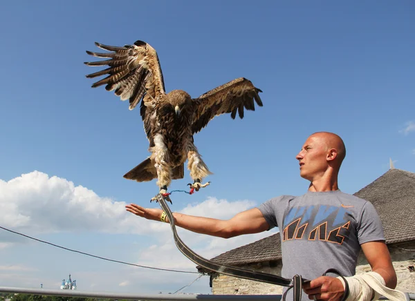 stock image Man with eagle