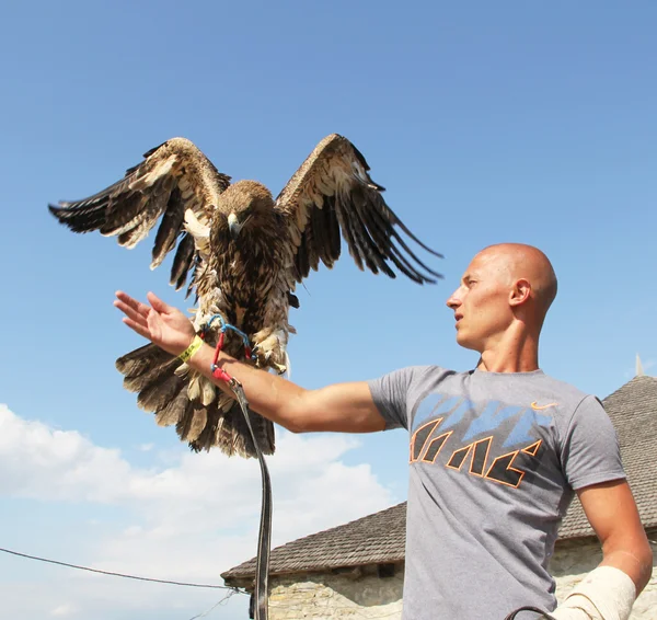 stock image Man with eagle