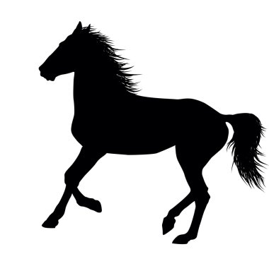 Vector horse clipart