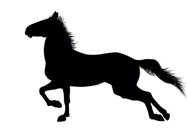 Vector horse clipart