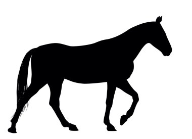 Vector horse clipart