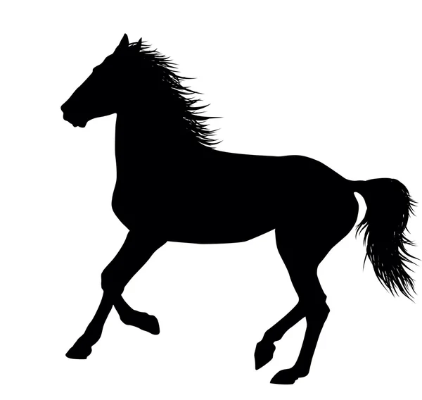 Διάνυσμα άλογο — Διανυσματικό Αρχείο