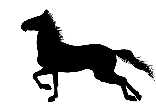 Вектор кінь — стоковий вектор