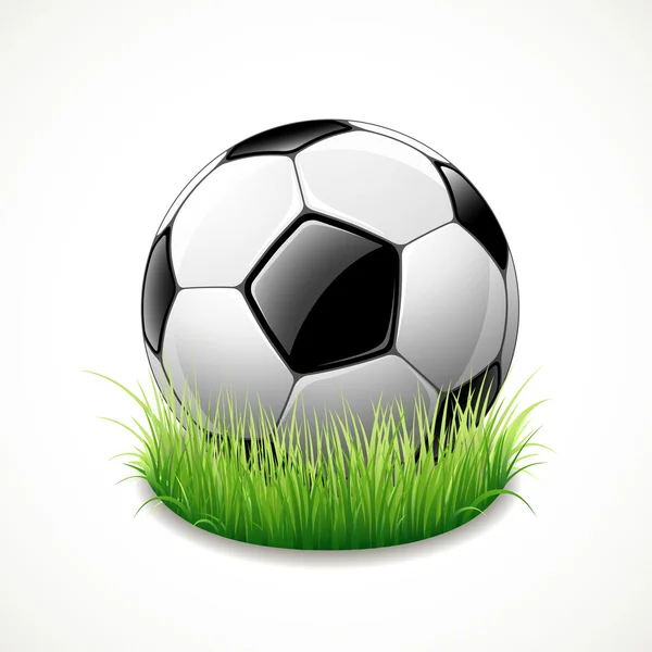 Soccer ball on green grass — Stock Vector