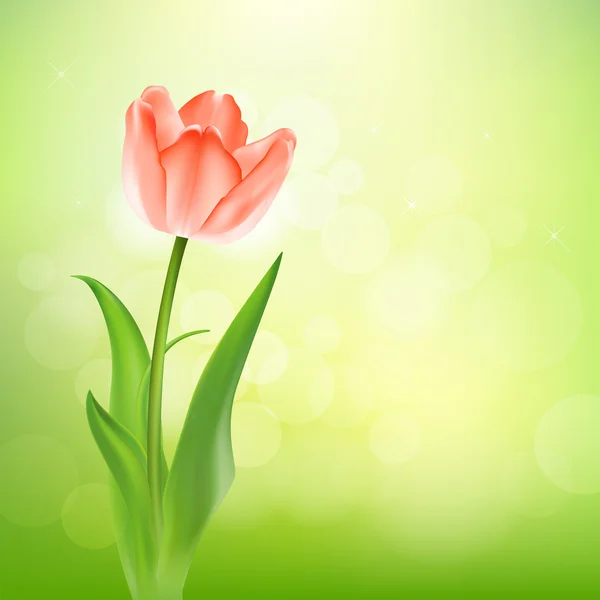 Schöne Tulpen. zum Hintergrund der Natur — Stockvektor