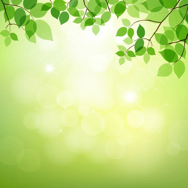 Frische grüne Blätter auf natürlichem Hintergrund — Stockvektor