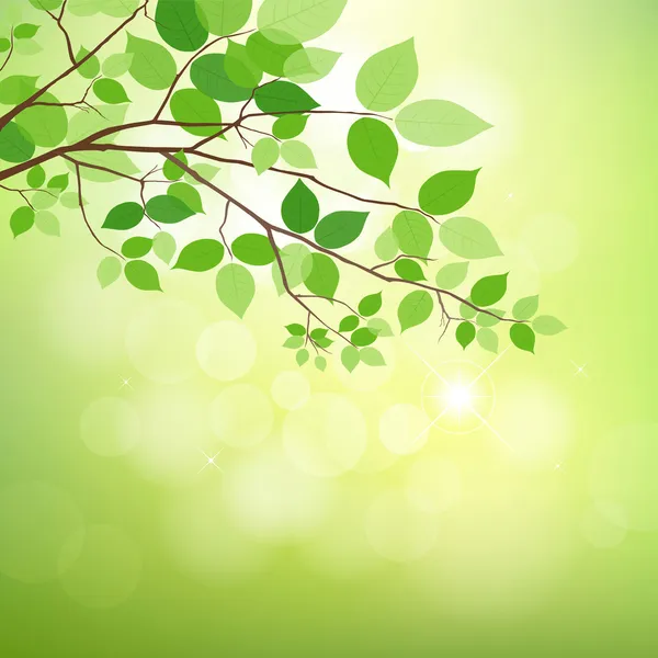 Zelené listy na přírodním pozadí. — Stockový vektor
