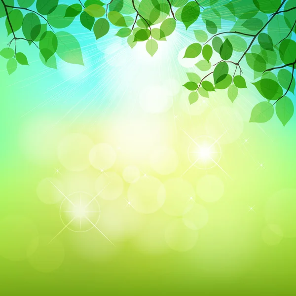 Čerstvé zelené listy na přírodní pozadí — Stockový vektor