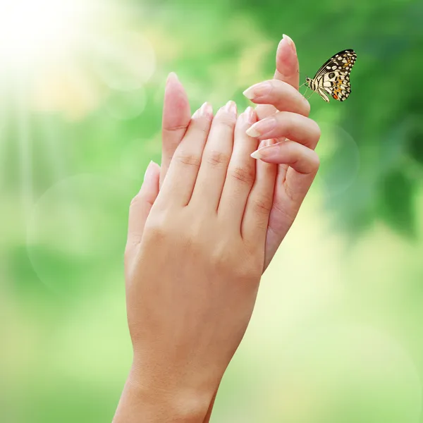 Motyl w ręce kobiety — Zdjęcie stockowe