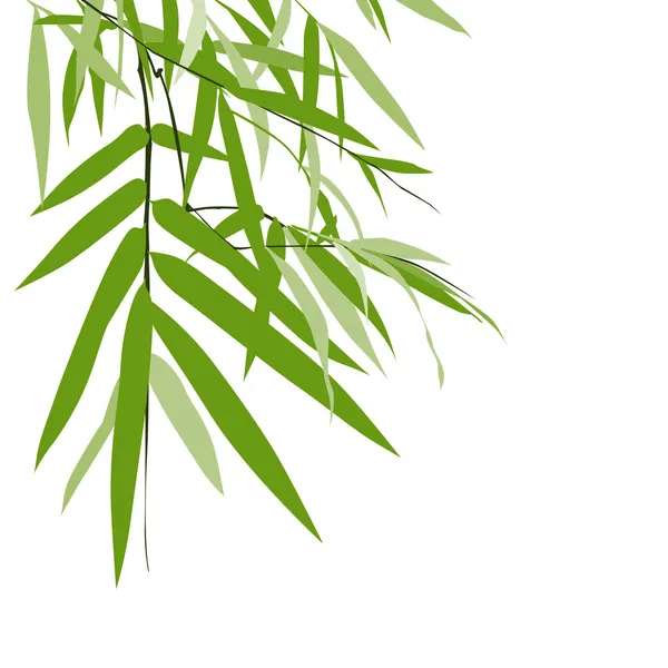 Bambou isolé fond de carte de vœux — Image vectorielle