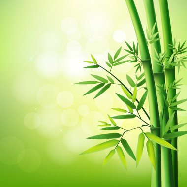 Bamboo green on natural background clipart