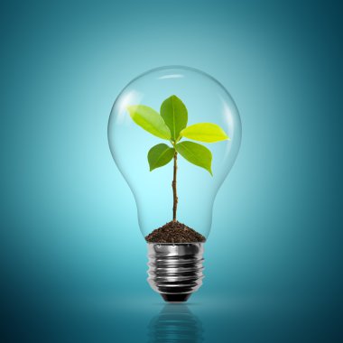 Bulb light with tree inside clipart