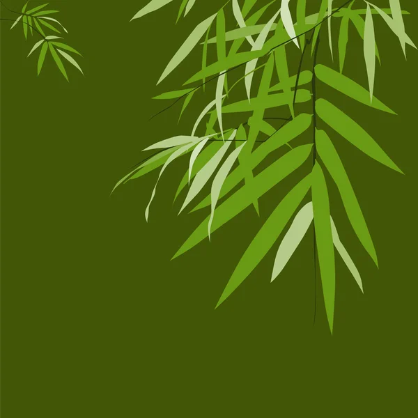 Bambú verde, tarjeta de felicitación — Vector de stock
