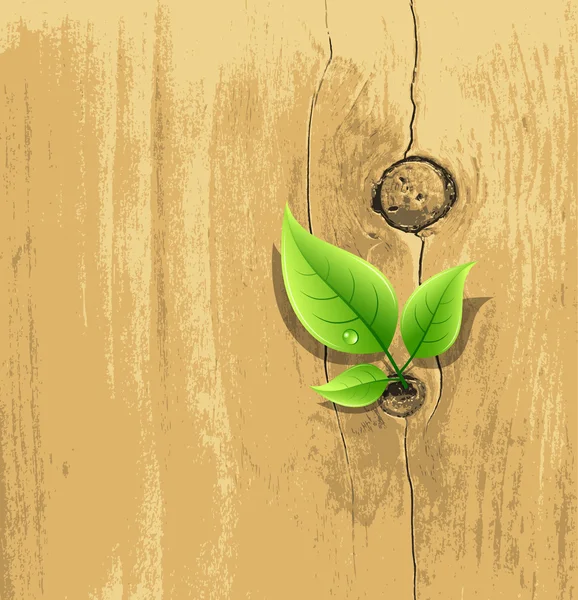 Зеленый лист на старом деревянном фоне — стоковый вектор