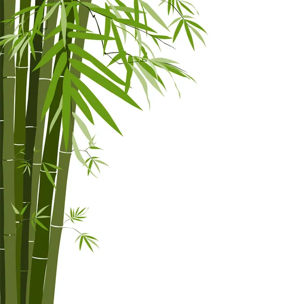 Bambù, illustrazione vettoriale — Vettoriale Stock