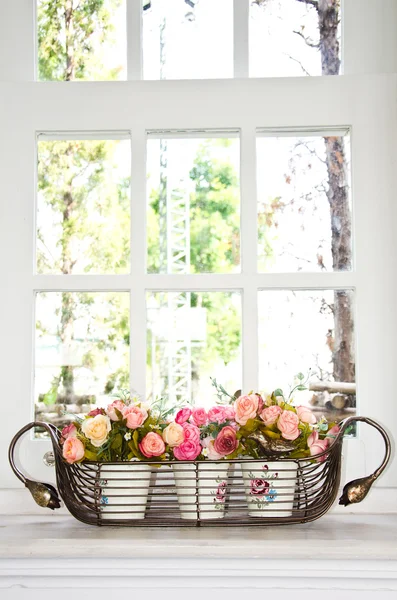 Flower pot in front of a window. — Stock Photo, Image