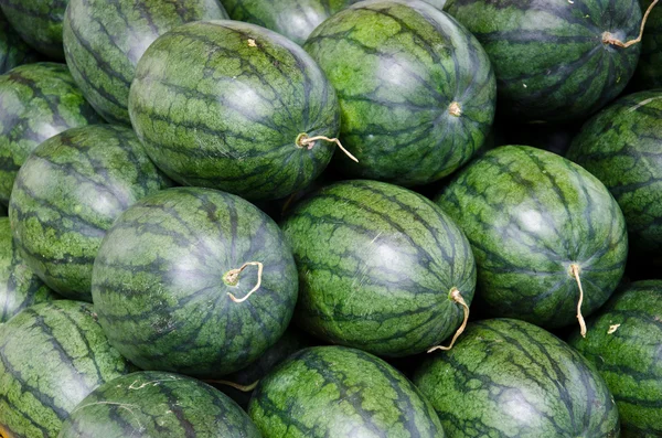 stock image A heap of water-melons