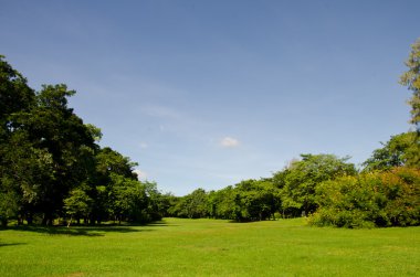 Green grass on a golf field clipart