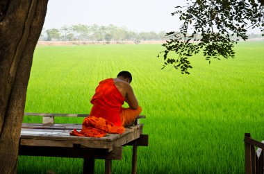 Buddhist monks are reading. clipart