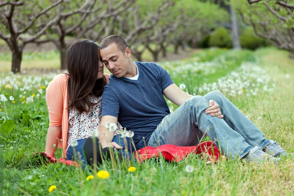 Affectionate Couple Together on Picnic Blanket — Stock Photo, Image