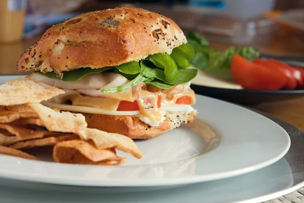 Tasty Deli Sandwich — Stock Photo, Image