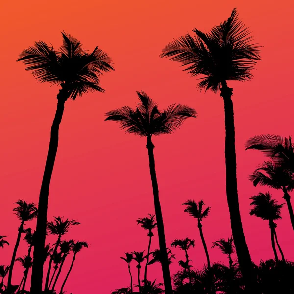 棕榈树夕阳剪影 — 图库矢量图片