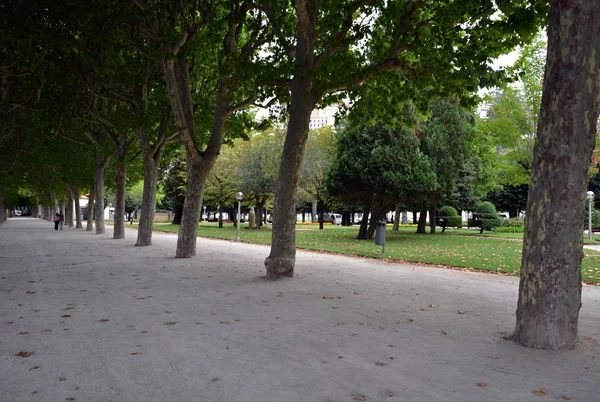 Мондегу зелений парк Coimbra — стокове фото